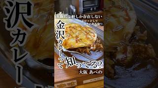 【大阪グルメ】金沢カレーって知ってる？ 大阪で店舗で食べれるのは２軒だけで、今回はそのうちの一軒に行ってみた。#関西グルメ　#大阪グルメ #金沢カレー #フォーシーズン #インデアンカレー #カレー