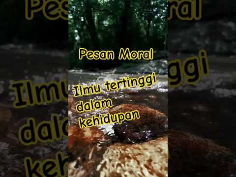 Pesan Moral #shortsvideo #shortsfeed #shorts #reels #youtube #youtubeshorts #subscribe