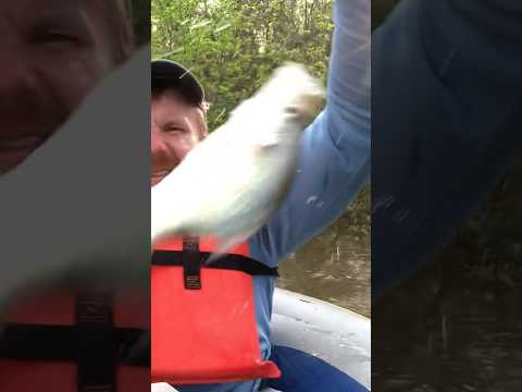 Catching slab crappie from the intex inflatable raft on Grenada Lake Mississippi #crappie