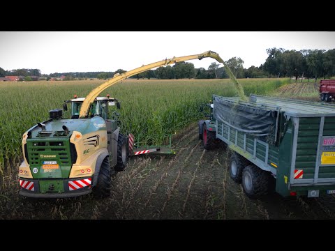 BIG X 1180! Maisernte 2024 🌽!  Häckseln mit Fendt und JohnDeere Traktoren im Emsland!