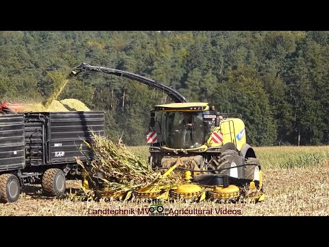 New Holland - Fendt - Conow - Hawe / Maissilage - Silaging Maize  2024