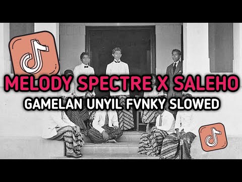 DJ MELODY SPECTRE X SALEHO GAMELAN UNYIL FVNKY SLOWED TERBARU VIRAL TIKTOK 2024