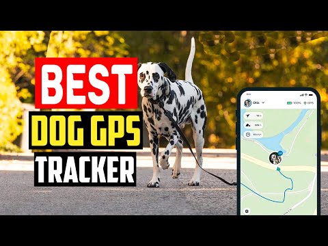 ✅Best dog gps tracker in 2023