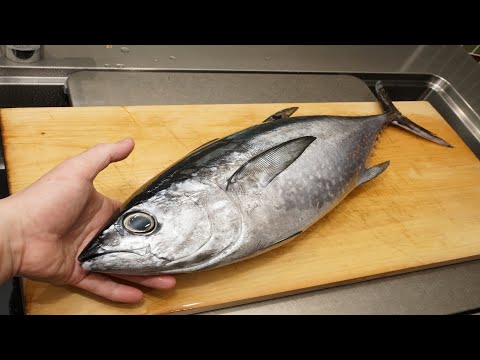 コシナガマグロのさばき方と刺身の作り方（Tuna sashimi）