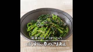 レンジで簡単！ほうれん草のごまあえ レシピ【うまクイック】