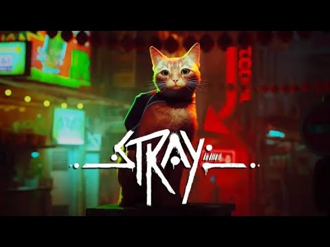 [stray] 　ついにきた！！　もう疲れたよ、、、ネコになってただ街を歩いていたい、、を実現できる　#1