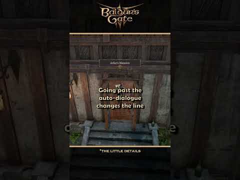 A Line For Not Triggering This Auto-Dialogue | Baldur's Gate 3