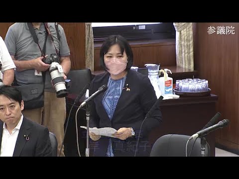 岸真紀子　参議院・地方創生及びデジタル社会特別委員会 2023年7月26日