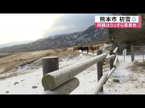 熊本市で初雪　阿蘇の小学生「雪だるま作りたい」 (24/12/19 12:00)