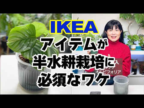 IKEAで売ってるコレが必須！半水耕栽培にピッタリなワケ