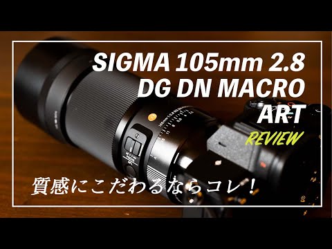 【マクロレンズ】SIGMA 105mm F2.8 DG DN MACRO | Art  を使ってみて良かったのでレビュー！