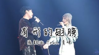 張韶涵〈有形的翅膀〉feat.青峰 Live Video HD字幕