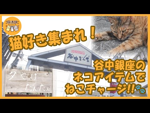 猫活部ちゃんねる＃003 谷中銀座でネコグッズまみれ