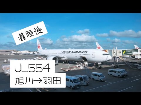 Flight Announcements JL554