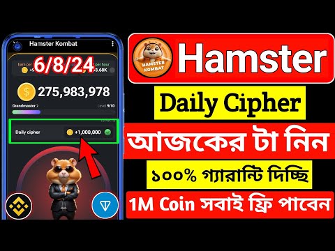 hamster kombat daily chiper । daily cipher in hamster । daily cipher hamster kombat । hamster kombat