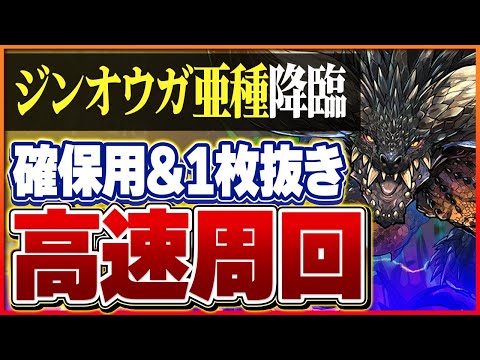 【ジンオウガ亜種降臨】超絶強化されたネルギガンテで快適周回！部位破壊＆1枚抜き編成！【パズドラ】