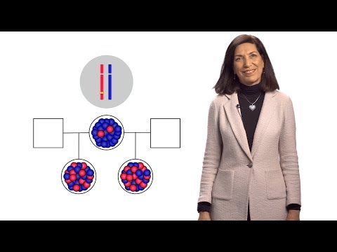 Huda Zoghbi (BCM/TCH) 1: Rett Syndrome: Genomes, Epigenomes and Neuropsychiatric conditions