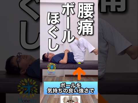 ガチガチの腰はボールでお尻をほぐすと股関節が柔らかくなって腰の負担が減りゆるみます。筋肉が原因の腰痛に効果大です。 #shorts