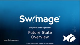 Swimage Console - Future State Overview