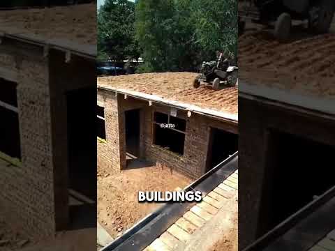 Cultivating paddy fields on roof of the houses in china