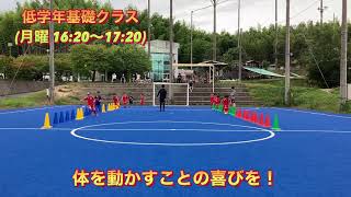 【桑名校】月曜低学年基礎クラスのアジリティトレーニング風景