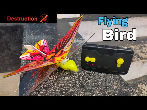 Remote Control Bird Unboxing, Review and Flight Test.