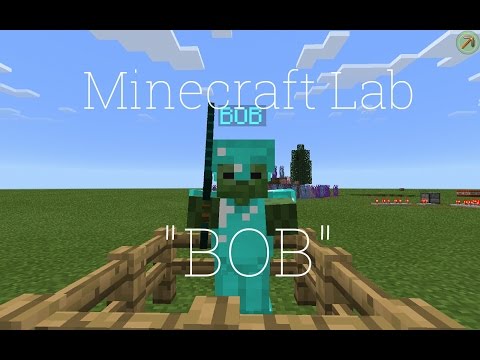 Minecraft Lab: BOB