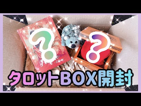 🎁タロットBOX開封🎁Llewellynでの購入品🎀