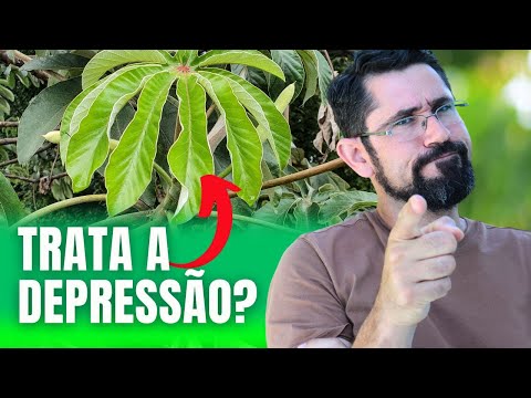 PLANTA EMBAÚBA: AJUDA A TRATAR DEPRESSÃO?