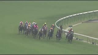 ラインクラフト 2006年 第1回ヴィクトリアマイル(GI) (優勝馬：ダンスインザムード)