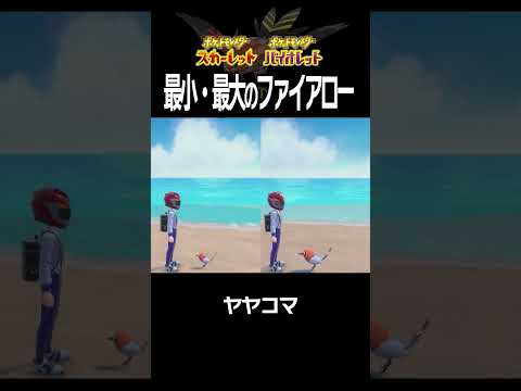 【大きさ比較】ファイアロー編【ポケモンSV】#Shorts