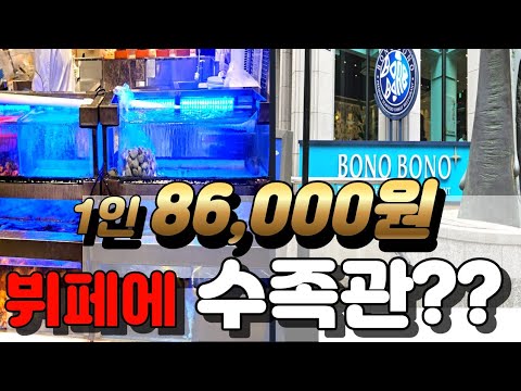 1인 86,000원  서울맛집 뷔페에 수족관이!? 보노보노삼성점