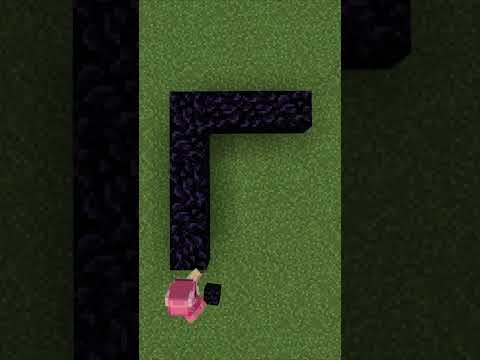 Placed Nether Portal【Minecraft】