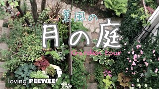 《ガーデンツアー》薫風の月の庭　　最も見頃の時期を迎えたガーデン　Mid-May garden tour.  The best season garden.