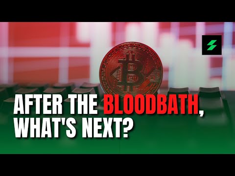 After The Bloodbath : BTC, ETH, LTC, BCH, & DOGE