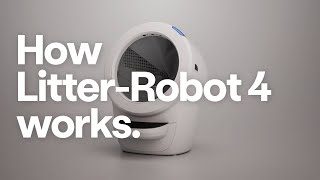 How Litter-Robot 4 Works | Self-Cleaning Litter Box