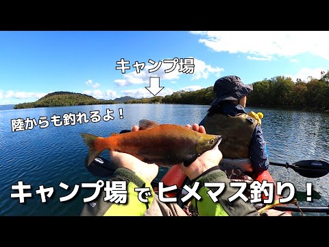 キャンプ場でヒメマス釣り！【和琴湖畔キャンプフィールド】そこら中にヒメマスが群れて、秋の屈斜路湖は理想の釣りキャンプ場に！陸からも釣れますよ！【釣りが出来るキャンプ場シリーズVol.36】