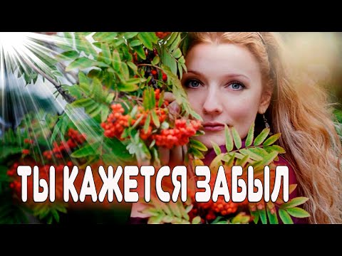 Супер Премьера! Послушайте! Ты кажется забыл!