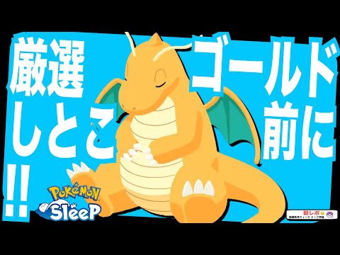 来週どこ行く？ゴールド前に厳選を終えたいポケモン4選 & 週中移動の注意点について【ポケモンスリープ】