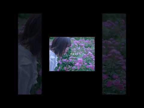 夢の中で - オリジナル曲