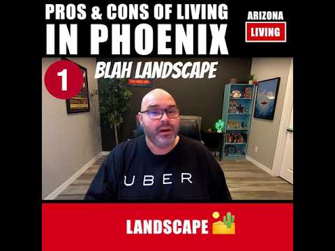 Pros and Cons of Living in Phoenix #Shorts