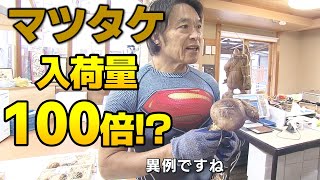 【異例の豊作】“秋の味覚の王様”マツタケ　「量」だけでなく「質」にも良い影響が…