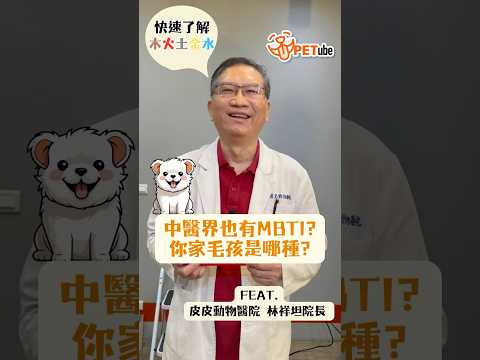 中醫界也有MBTI❓你家毛孩是哪種呢~ Feat.皮皮動物醫院 林祥坦院長