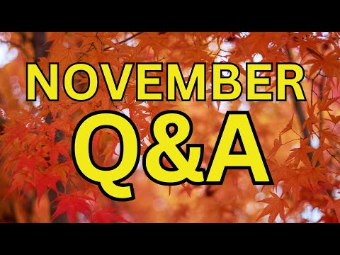 November 2024 Bible Q&A