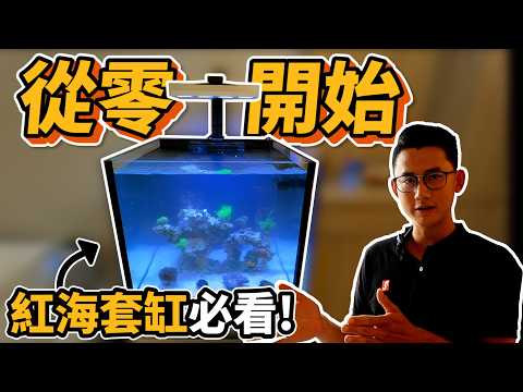 【藍箱水族】紅海套缸-設缸過程大公開！新手設缸必看~設備挑選、開缸細節一次告訴你！！桃園中壢設缸案件 Reef tank setup. Redsea reefer tank setup.