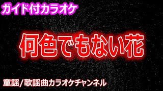 【カラオケ】何色でもない花　ドラマ「君が心をくれたから」ソング　作詞・作曲：宇多田ヒカル【リリース：2024年】