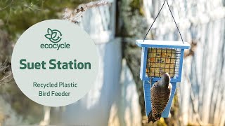 Suet Station Recycled Plastic Suet Bird Feeder | EcoCycle™ Recycled Materials Collection