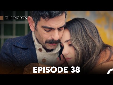 The Pigeon Episode 38 (FULL HD)