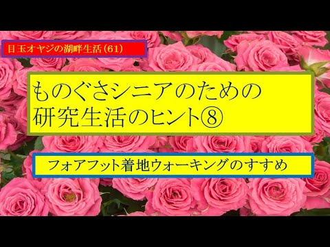 湖畔生活（61）フォアフット着地ウォーキングのすすめ