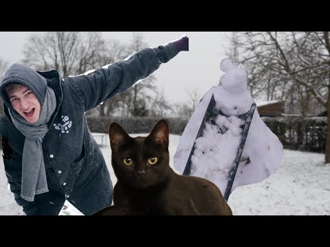 Belgian Snow! Making a playground for my cat